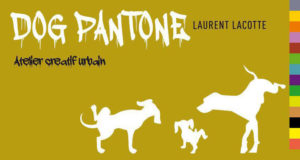 dog-pantone-ballade-urbaine-et-creative-avec-laurent-lacotte_434476